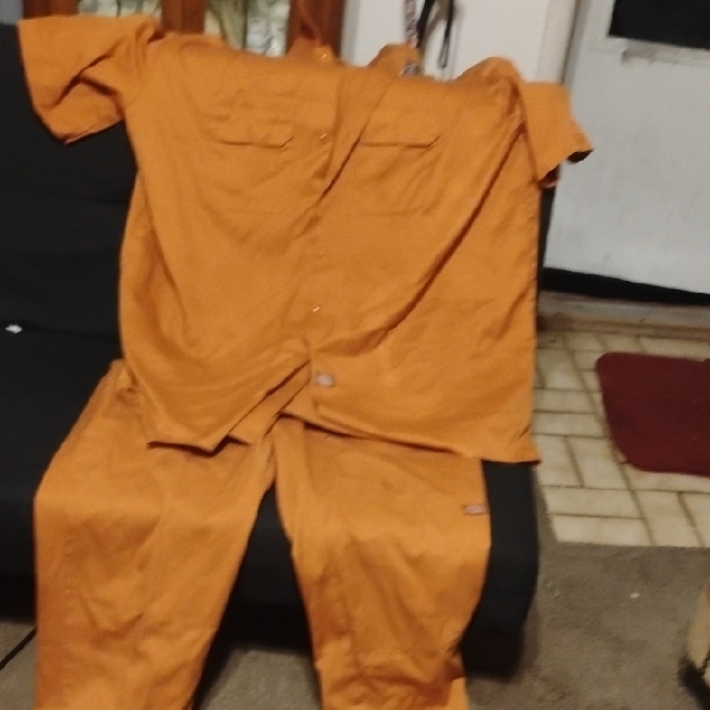 Dickies Orange Windbreaker Jacket